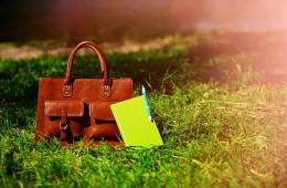 Totevia Classic Leather Bag